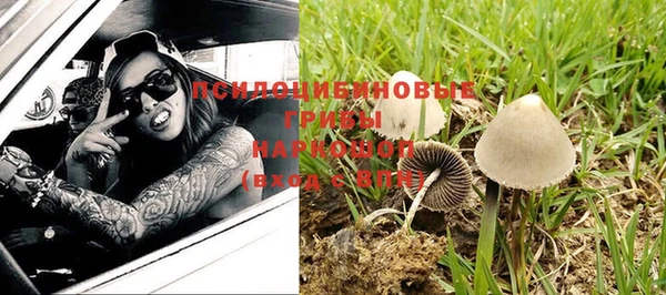 герыч Алзамай