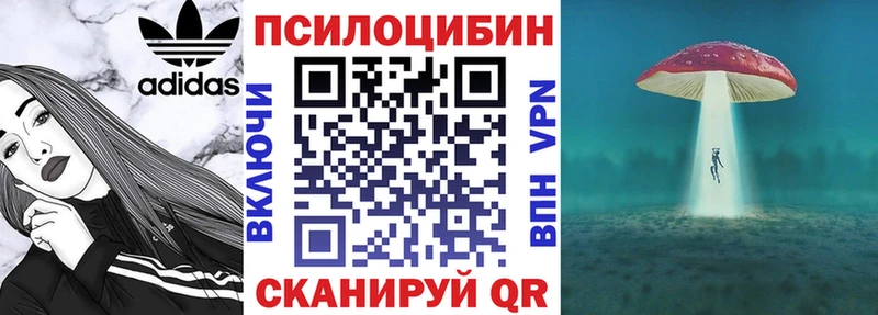 нарко площадка наркотические препараты  где купить наркоту  Малаховка  Псилоцибиновые грибы Psilocybe 